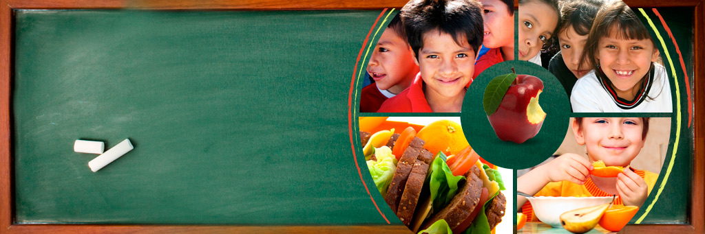 LECCIONES PARA PREVENIR LA OBESIDAD INFANTIL