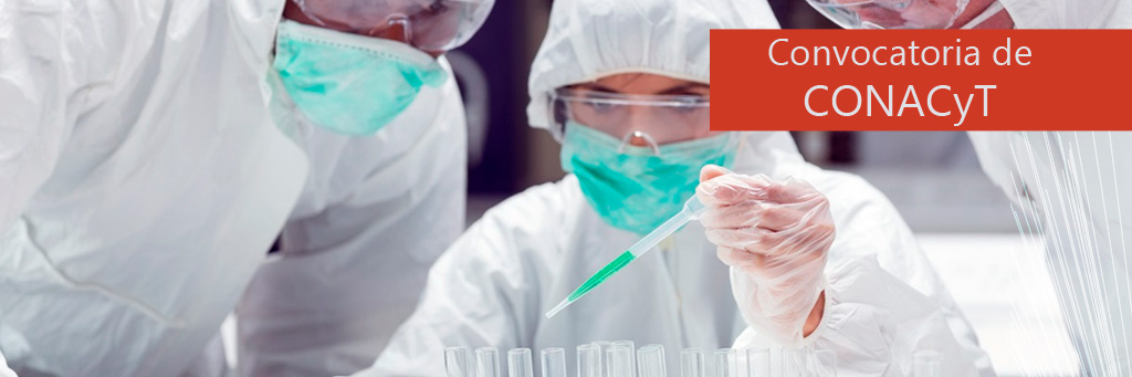 ESTANCIAS POSDOCTORALES EN MÉXICO