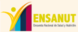111206_ensanut
