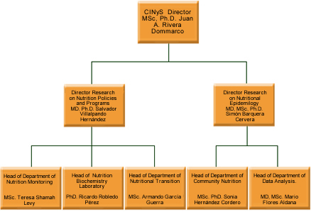 Organization CINyS