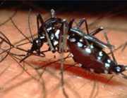 Seminario Institucional  Enfermedades Infecciosas Emergentes