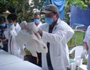 Por un mejor manejo de los animales de laboratorio