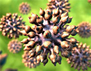 Muy alto el porcentaje de mujeres menores de 30 años con VPH