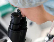 Reunión de autoridades para avanzar en prevención del CaCu