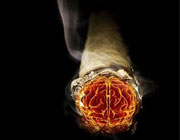 Es necesario frenar la impunidad de industria tabacalera