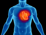 diabetes y enfermedades cardiovasculares