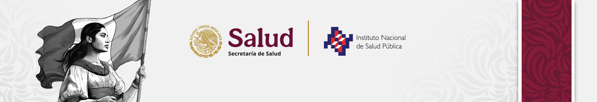 Banner Salud INSP