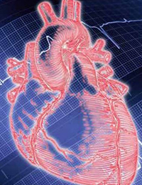 Prevención y Tratamiento de Enfermedades Cardiovasculares