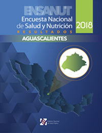 201110 aguascalientes