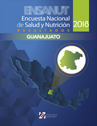 201110 guanajuato