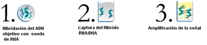 Ejemplo de células cervicales